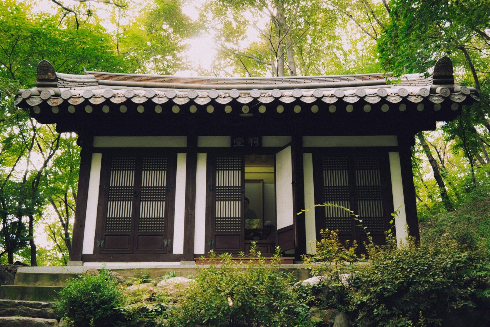 고려 왕조의 문화와 유산: 청자, 팔만대장경, 그리고 국제 무역