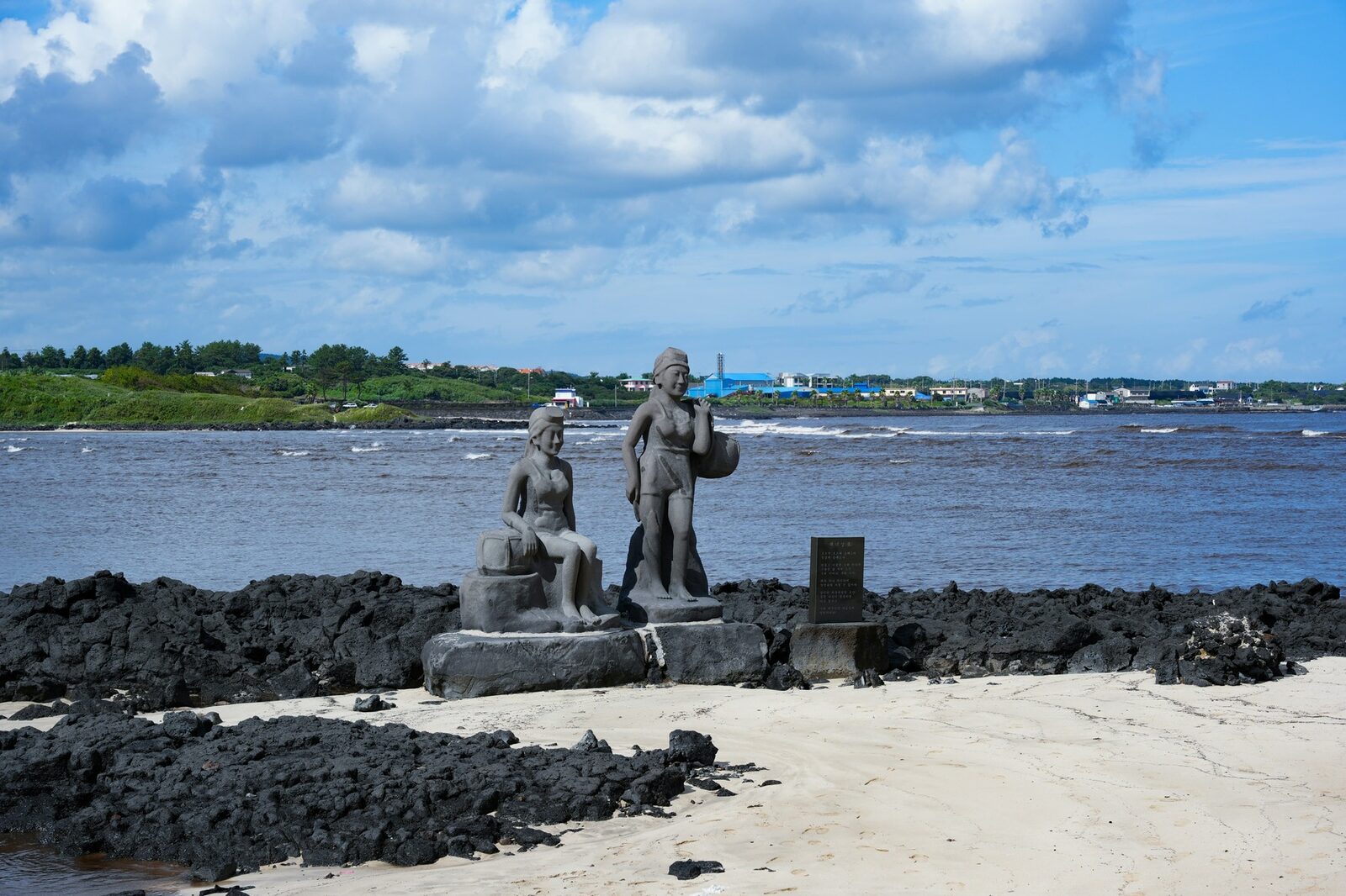 한국전쟁의 기록: 1950-1953, 잊지 말아야 할 역사